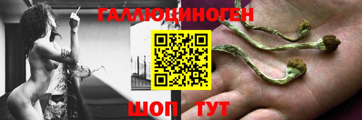 Галлюциногенные грибы Cubensis  Псилоцибиновые грибы Psilocybine cubensis  Вход с VPN  Приморско-Ахтарск 